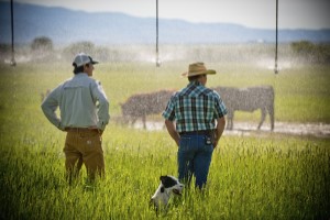 Credit: U.S. Department of Agriculture, Public Domain on RawPixel