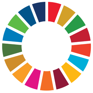 A colorful wheel with multiple segments in varying shades representing different SDGs.